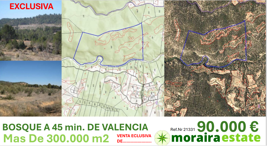 OPORTUNIDAD.. BOSQUE a 45 minutos de VALENCIA, Mas de 300.000m2 OPORTUNIDAD.. BOSQUE a 45 minutos de VALENCIA, Mas de 300.000m2